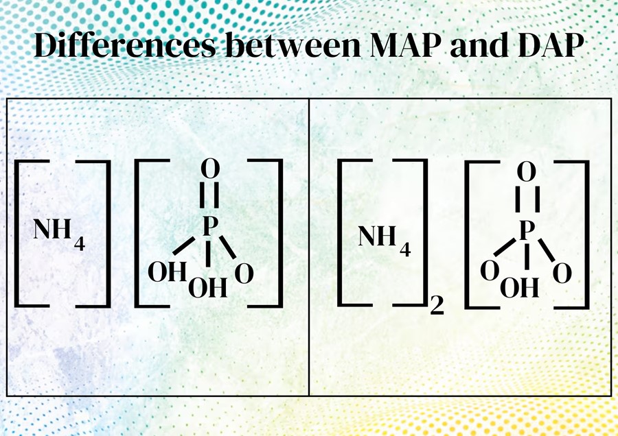 Differences    between Mono Ammonium Phosphate (MAP) and Di Ammonium Phosphate (DAP)